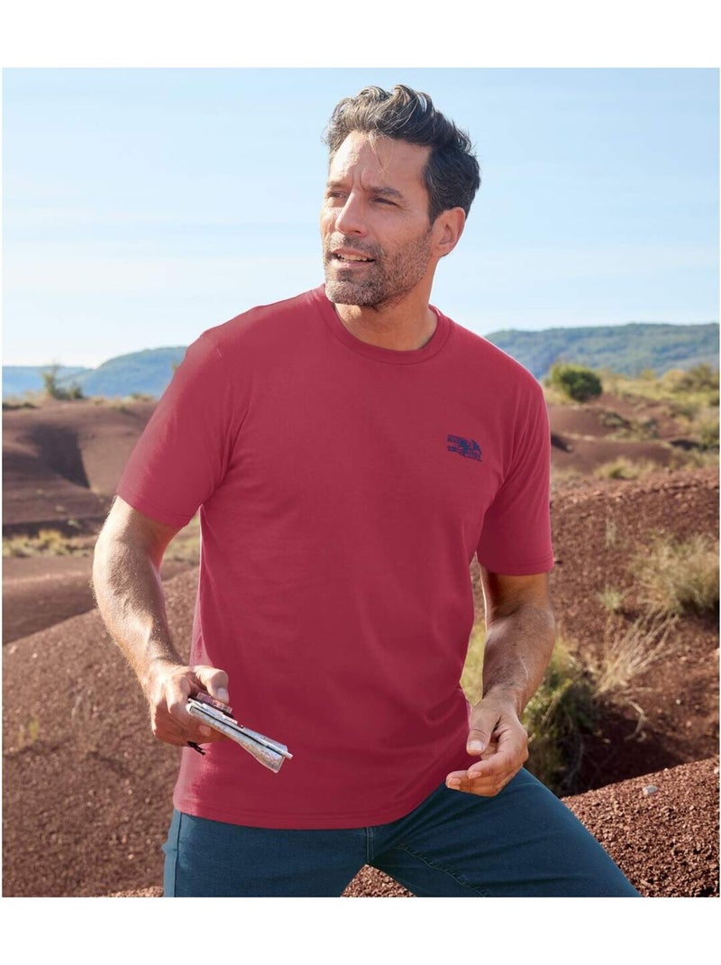 Lot de 4 tee-shirts travel   - atlas for men Jaune/Bleu Marine/Rouge - Kiabi