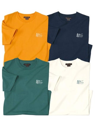 Lot de 4 Tee-Shirts Trek Park   - ATLAS FOR MEN