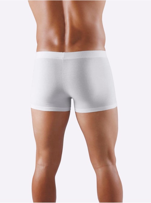 Lot de 5 - Boxer Coton Extensible - Taille Standard - Witt - Kiabi Lot de 5 - Boxer Coton Extensible - Taille Standard - Witt - Kiabi