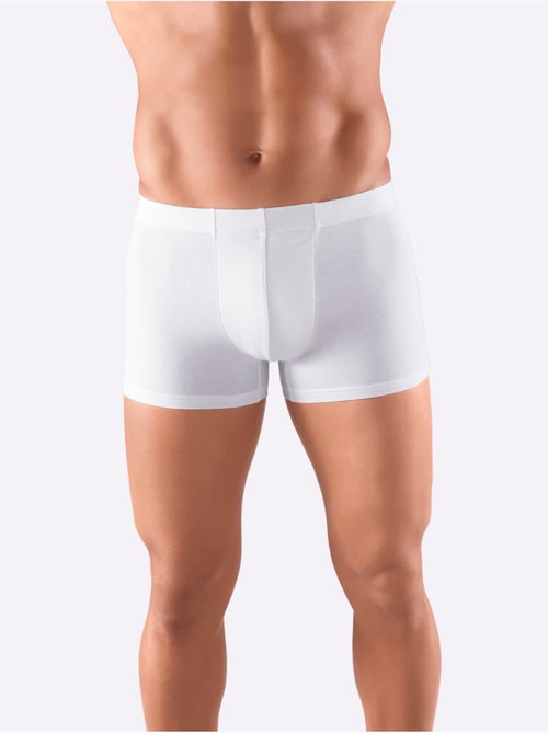 Lot de 5 - Boxer Coton Extensible - Taille Standard - Witt - Kiabi Lot de 5 - Boxer Coton Extensible - Taille Standard - Witt - Kiabi