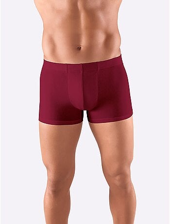 Lot de 5 - Boxer Coton Extensible - Taille Standard - Witt