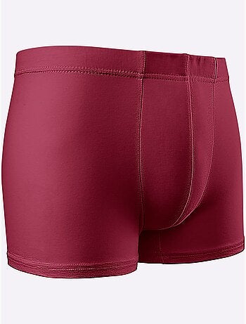 Lot de 5 - Boxer Coton Extensible - Taille Standard - Witt