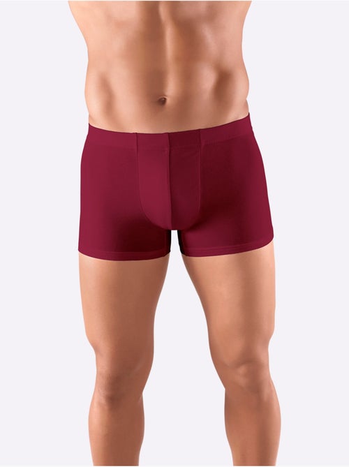 Lot de 5 - Boxer Coton Extensible - Taille Standard - Witt - Kiabi Lot de 5 - Boxer Coton Extensible - Taille Standard - Witt - Kiabi