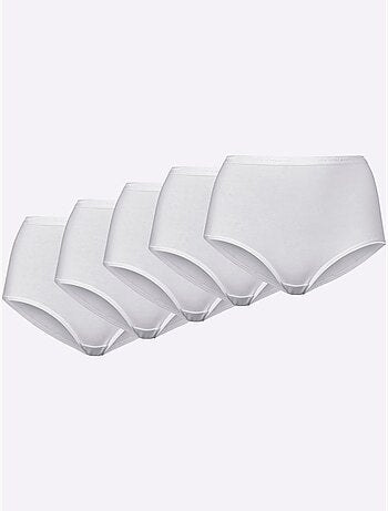 Lot de 5 - Slip Taille Haute Jersey Fin - Taille Standard - Witt