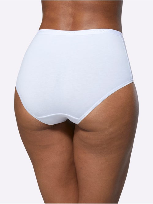 Lot de 5  - Slip Taille Haute Jersey Fin - Taille Standard - Witt - Kiabi
