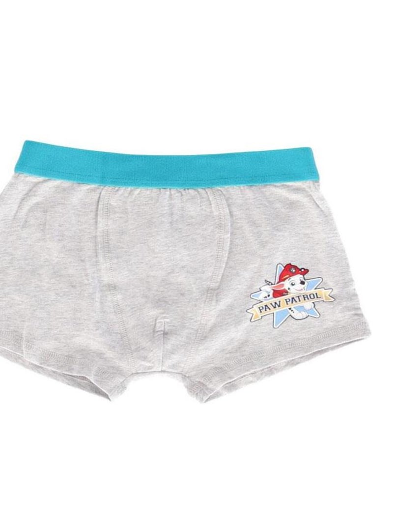Lot de 5 boxers Pat Patrouille 4/5 ans - Garçon - 95% Coton/5% Elasthanne Bleu - Kiabi