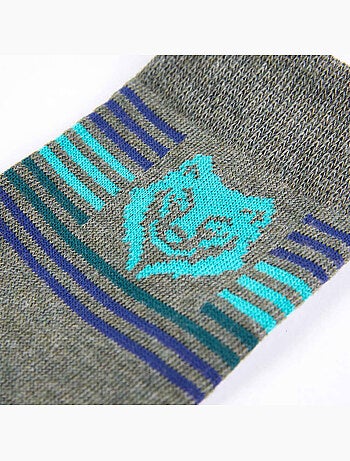 Lot de 5 chaussettes coton avec imprimé lion et rayures - vidaxl