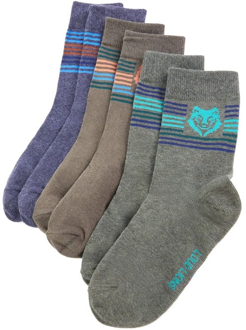 Lot de 5 chaussettes coton avec imprimé lion et rayures - vidaxl - Kiabi