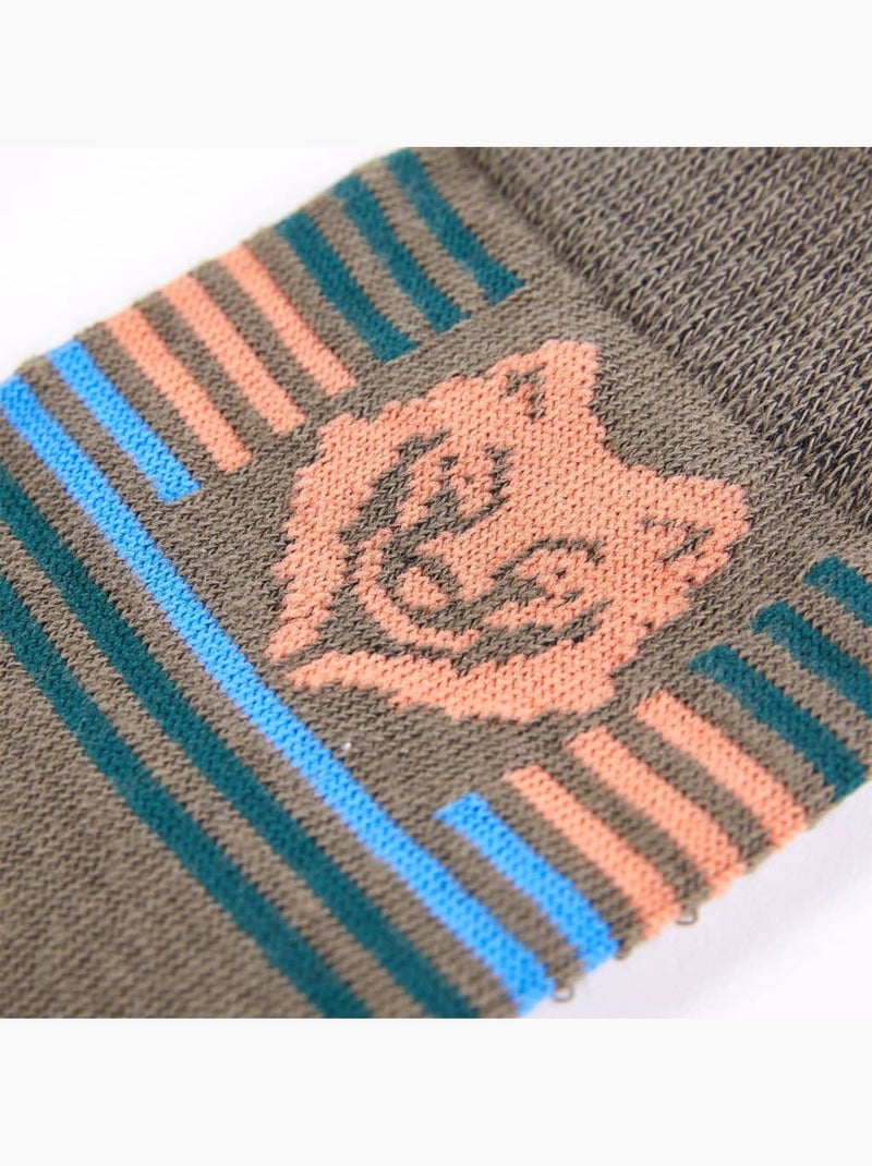 Lot de 5 chaussettes coton avec imprimé lion et rayures - vidaxl Multicolore - Kiabi