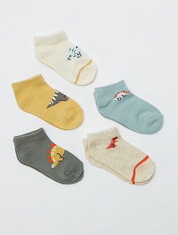 Lot de 5 paires de chaussettes invisibles