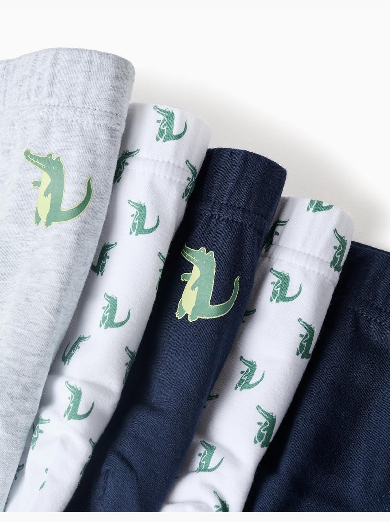 Lot de 5 slips en coton avec crocodiles imprimés Gris Bleu - Kiabi