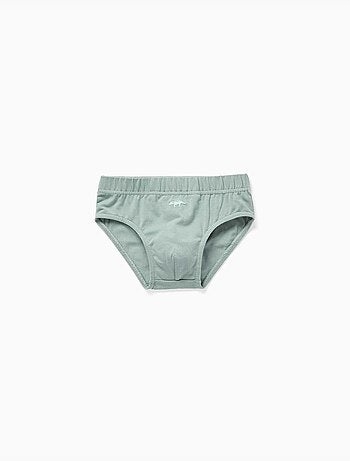 Lot de 5 slips en coton avec imprimés dinosaures