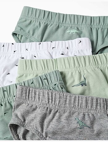 Lot de 5 slips en coton avec imprimés dinosaures