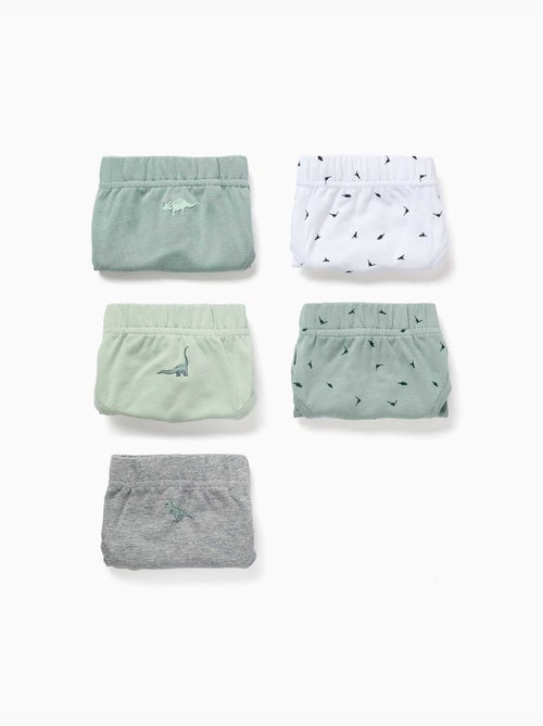 Lot de 5 slips en coton avec imprimés dinosaures - Kiabi Lot de 5 slips en coton avec imprimés dinosaures - Kiabi