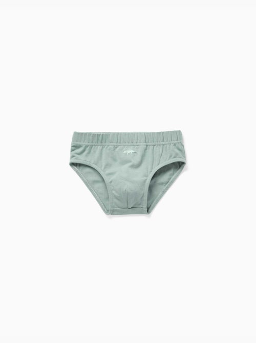 Lot de 5 slips en coton avec imprimés dinosaures - Kiabi Lot de 5 slips en coton avec imprimés dinosaures - Kiabi