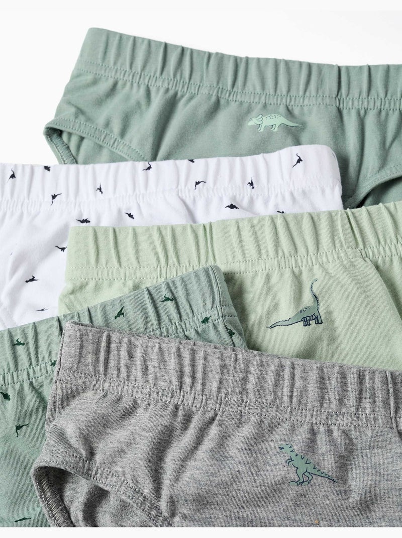 Lot de 5 slips en coton avec imprimés dinosaures Blanc Vert - Kiabi