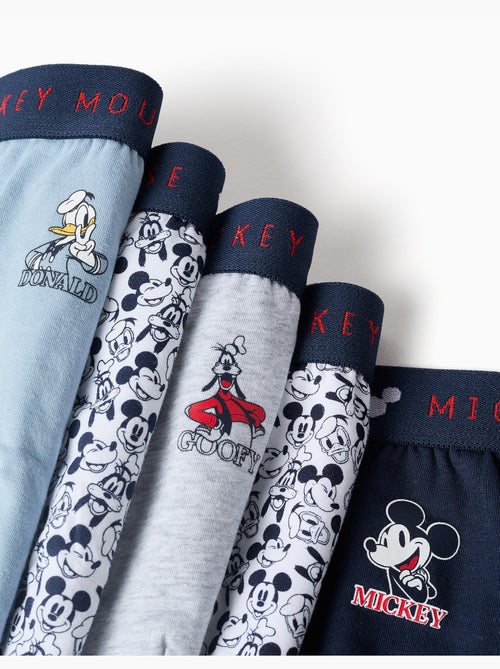 Lot de 5 slips en coton Mickey & Friends - Kiabi