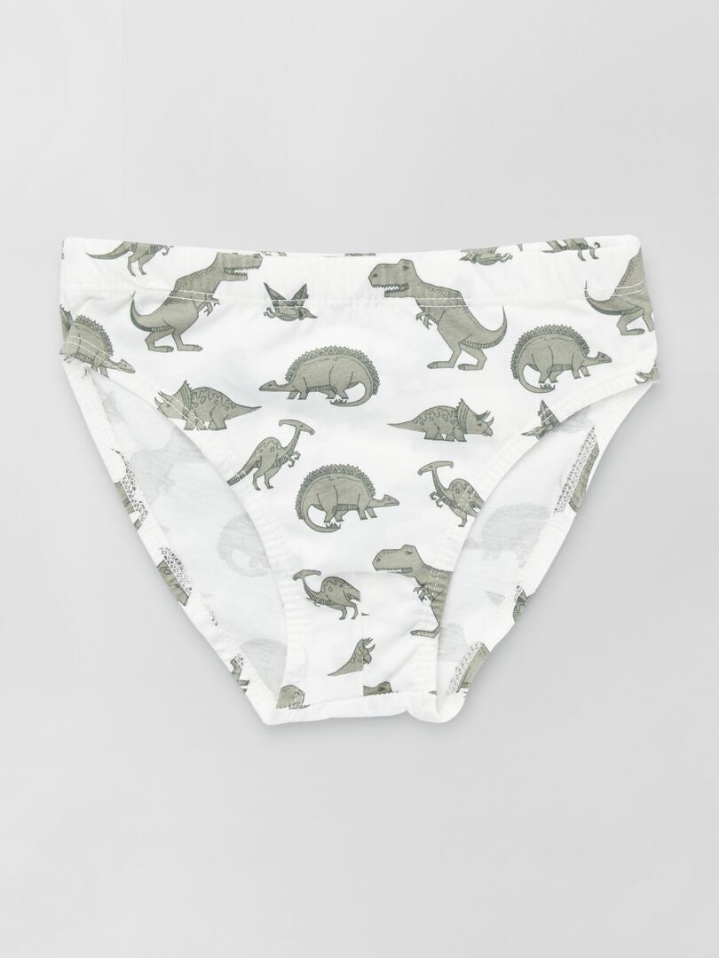 Lot de 5 slips fantaisies Vert - Kiabi