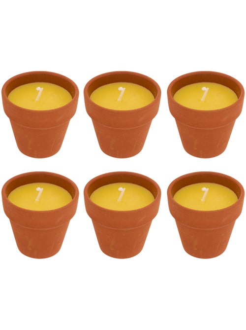 Lot de 6 bougies 39g parfumées à la citronnelle pot en terre cuite TERRY - Kiabi