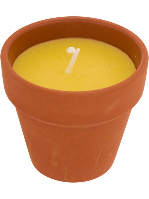Lot de 6 bougies 39g parfumées à la citronnelle pot en terre cuite TERRY - Kiabi