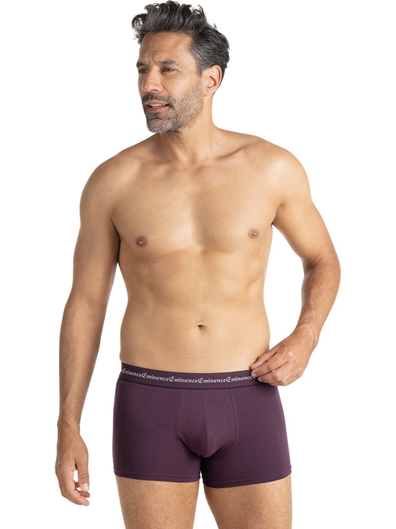 Lot de 6 boxers homme Business Eminence Gris Bordeaux Noir - Kiabi