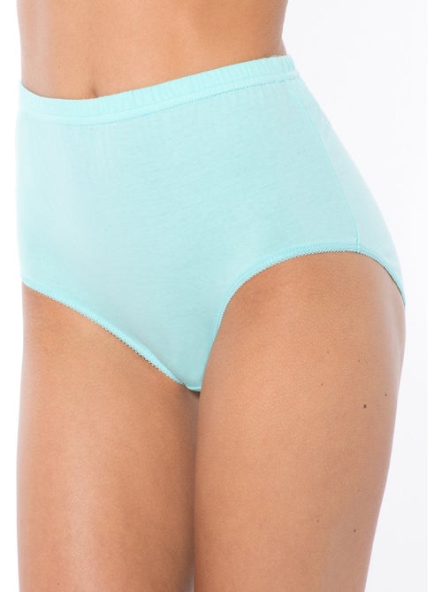 Lot de 6 culottes pur coton - DAXON - Kiabi