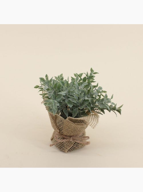 Lot de 6 plantes artificielles pot en jute 14cm - Kiabi