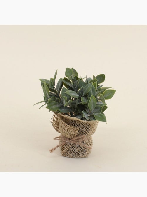 Lot de 6 plantes artificielles pot en jute 14cm - Kiabi