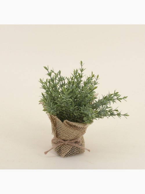 Lot de 6 plantes artificielles pot en jute 14cm - Kiabi
