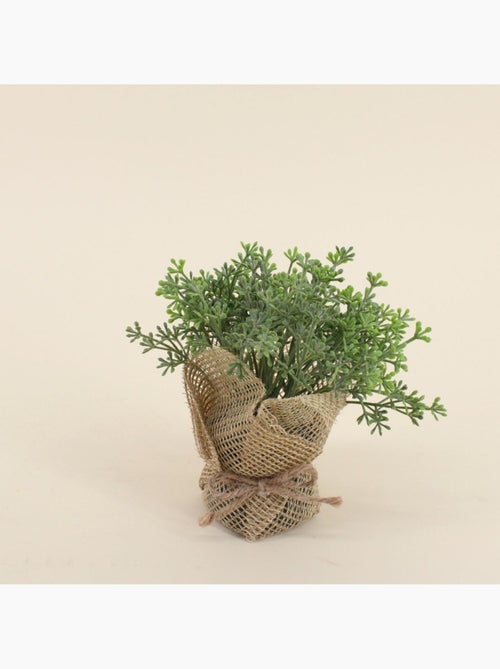 Lot de 6 plantes artificielles pot en jute 14cm - Kiabi