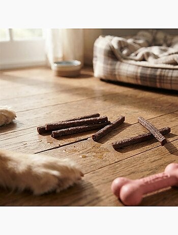 Lot de 6 saucisses boost aux insectes et collagène pour chien 600g