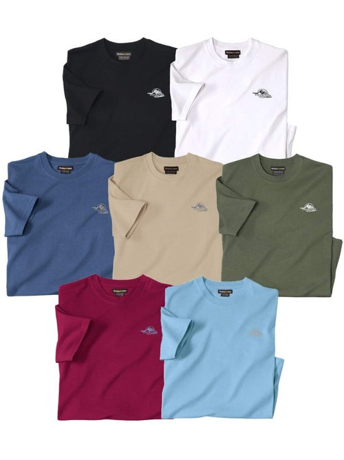 Lot de 7 tee-shirts expédition - atlas for men - Kiabi Lot de 7 tee-shirts expédition - atlas for men - Kiabi
