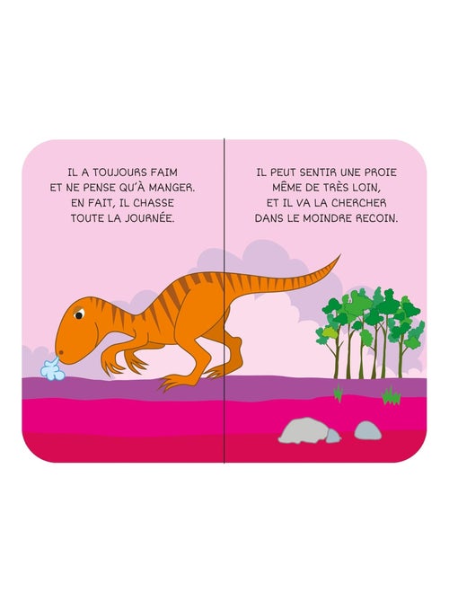 Lot de 8 Livres - Ma petite bibliothèque - Les dinosaures Sassi Junior - Kiabi