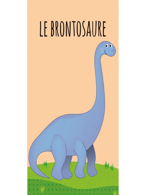 Lot de 8 Livres - Ma petite bibliothèque - Les dinosaures Sassi Junior - Kiabi