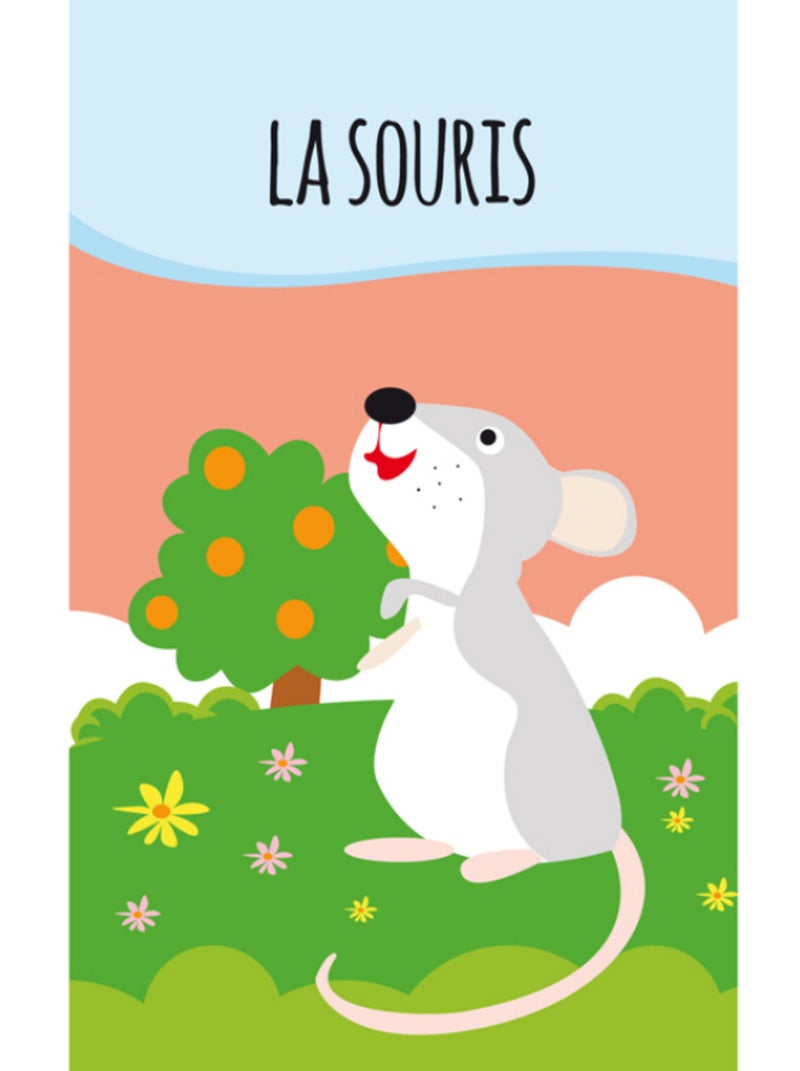 Lot de 8 Livres - Ma petite bibliothèque - Mes petits animaux Sassi Junior N/A - Kiabi