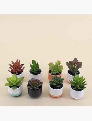 Lot de 8 plantes grasses artificielles en pot céramique