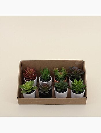 Lot de 8 plantes grasses artificielles en pot céramique