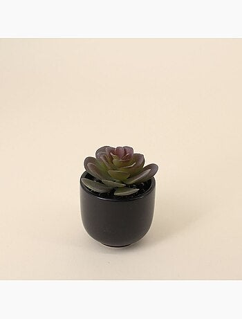 Lot de 8 plantes grasses artificielles en pot céramique