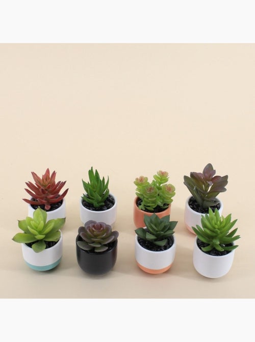 Lot de 8 plantes grasses artificielles en pot céramique - Kiabi