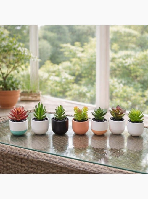 Lot de 8 plantes grasses artificielles en pot céramique - Kiabi