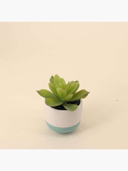 Lot de 8 plantes grasses artificielles en pot céramique - Kiabi