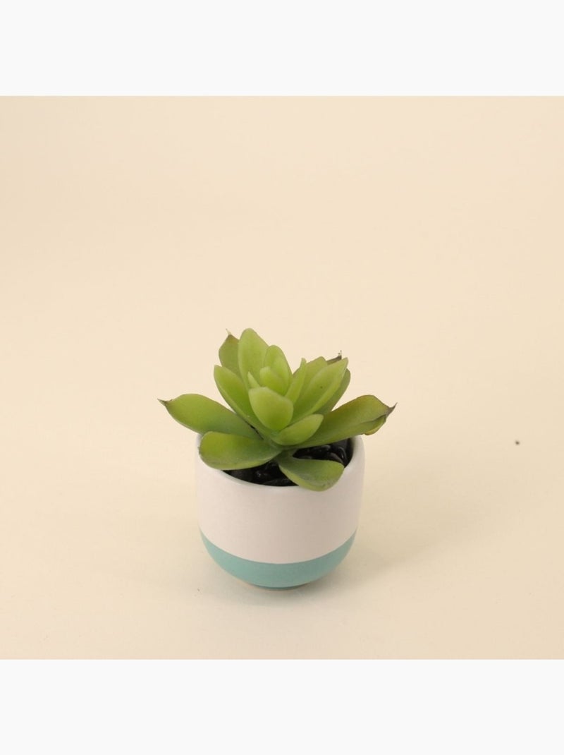 Lot de 8 plantes grasses artificielles en pot céramique Vert - Kiabi