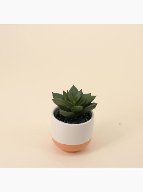 Lot de 8 plantes grasses artificielles en pot céramique - Kiabi