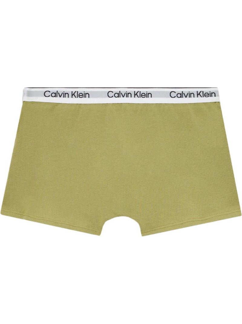 Lot de deux Boxers Garçon Calvin Klein Jeans Vert - Kiabi