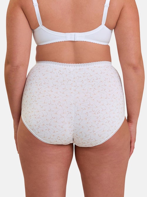 Lot de deux culottes Classique Coton B Sans Complexe - Kiabi