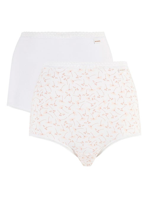 Lot de deux culottes Classique Coton B Sans Complexe - Kiabi