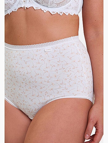 Lot de deux culottes classique coton b sans complexe lingerie