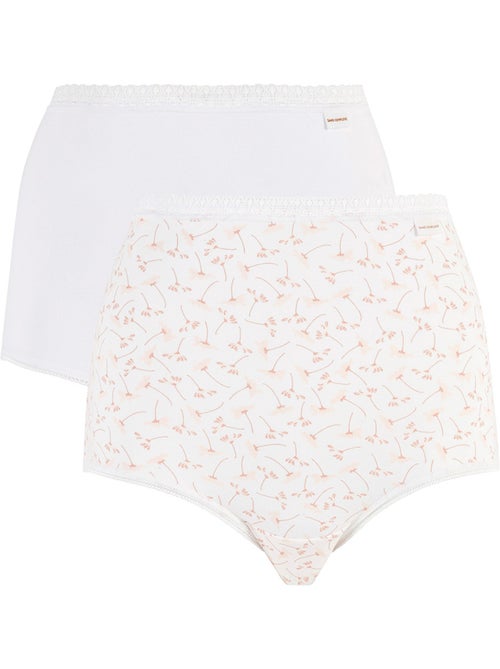 Lot de deux culottes classique coton b sans complexe lingerie - Kiabi Lot de deux culottes classique coton b sans complexe lingerie - Kiabi