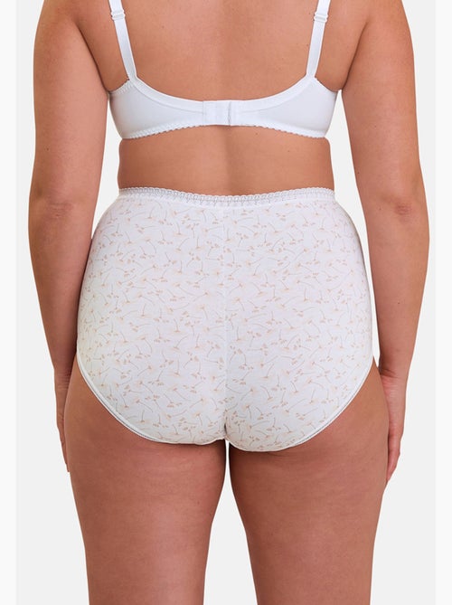 Lot de deux culottes classique coton b sans complexe lingerie - Kiabi Lot de deux culottes classique coton b sans complexe lingerie - Kiabi