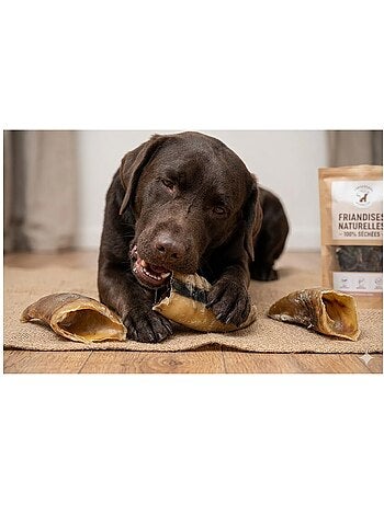 Lot de friandises chien nature sabot de vache